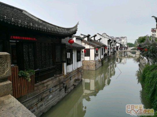 龙须菜的做法凉拌菜游戏画面